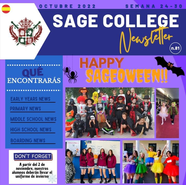 Newsletter of the Week #81 (EN)